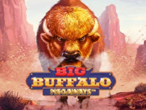 game logo by Skywind Group on spin-dog.eu