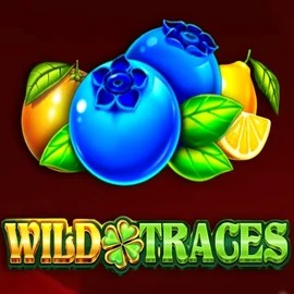 Wild Traces – slot by Amusnet Interactive, featured at spin-dog.eu
